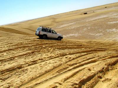 img-0393.jpg