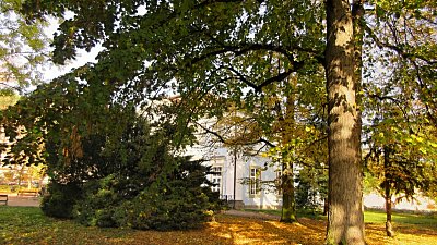 img-0467-1.jpg