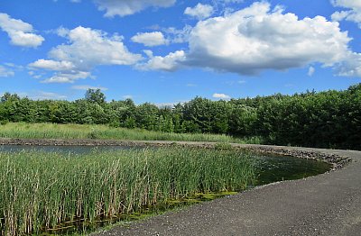 img-0569-2.jpg