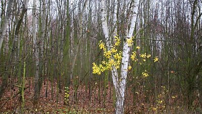 img-0599.jpg