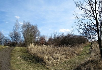 img-0644-2.jpg