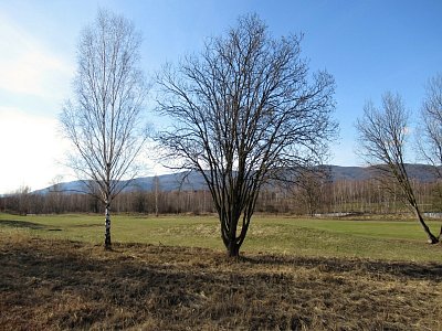 img-0722.jpg