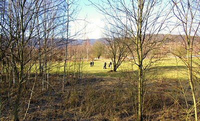 img-0724-4.jpg