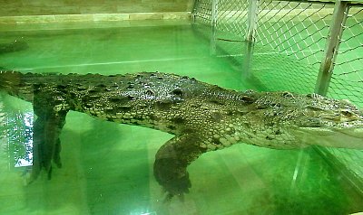 img-0809.jpg