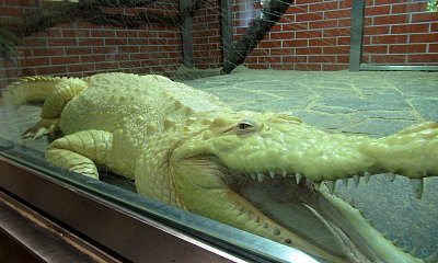 img-0814-1.jpg