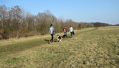 img-0847.jpg