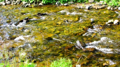 img-0905.jpg