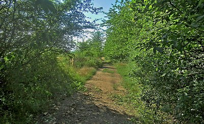 img-1079.jpg