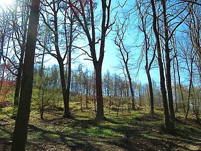img-1086-2.jpg