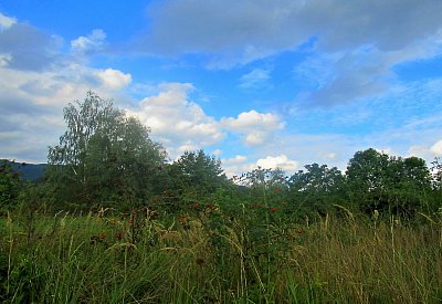 img-1115-3.jpg