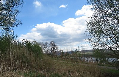 img-1190.jpg