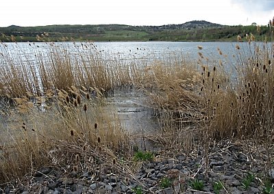 img-1228.jpg