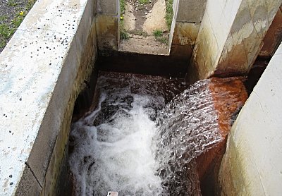 img-1278.jpg