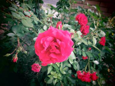 img-1313.jpg