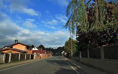 img-1338.jpg