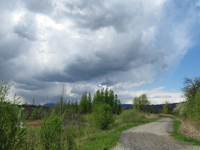 img-1365.jpg