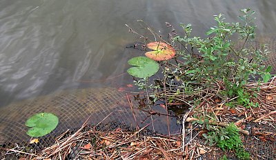 img-1366.jpg