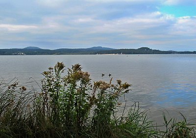img-1387.jpg