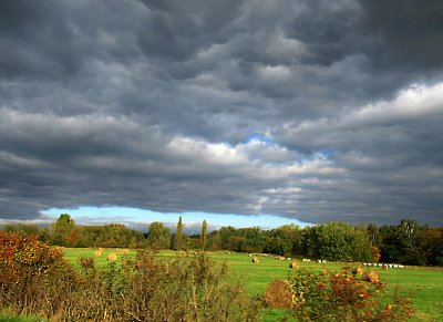 img-1682-1.jpg