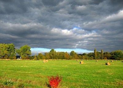 img-1683-1.jpg