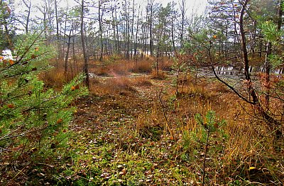img-1777-3.jpg