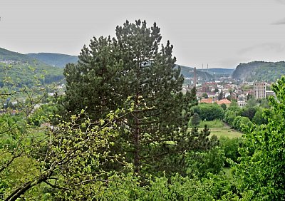 img-1790-1.jpg