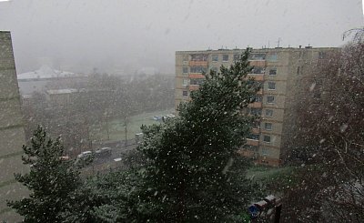 img-1907-3.jpg