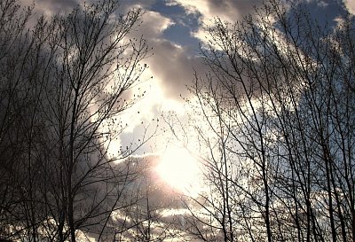 img-2017-1.jpg
