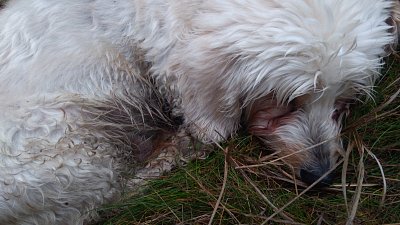 img-20181104-9.jpg