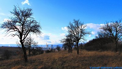 img-2031-1.jpg