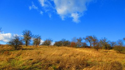 img-2037-2.jpg