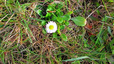 img-2061-2.jpg