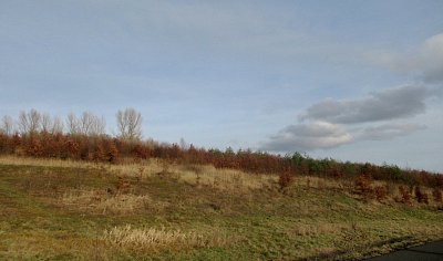 img-2062-1.jpg