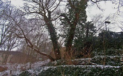 img-2225-1.jpg