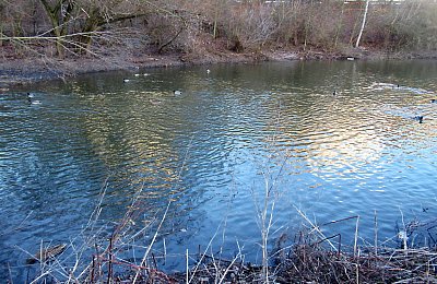 img-2389-2.jpg