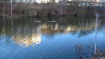 img-2396.jpg
