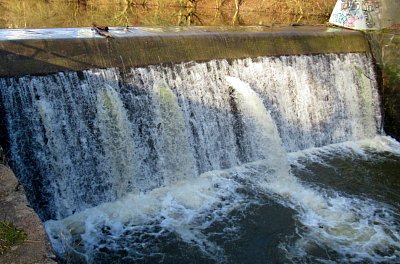 img-2535-1.jpg