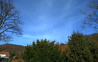 img-2579-1.jpg