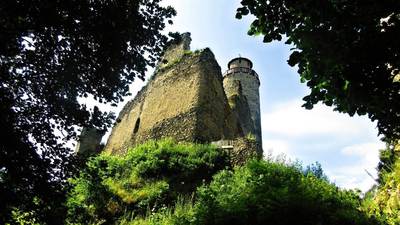 img-2595.jpg