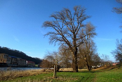 img-2608-3.jpg