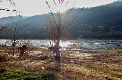 img-2612-1.jpg