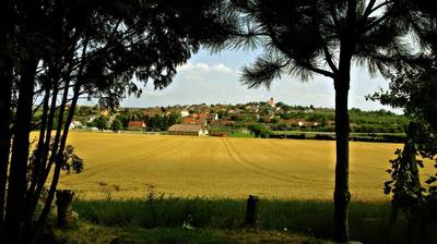 img-2643.jpg