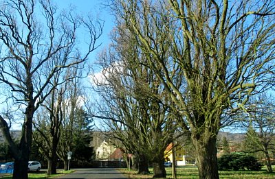 img-2669-2.jpg