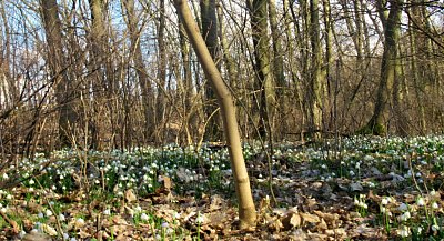 img-2700-2.jpg