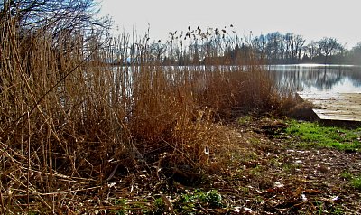 img-2712-4.jpg