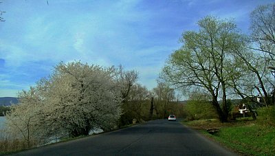img-2846-1.jpg
