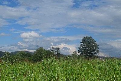 img-3021-2.jpg