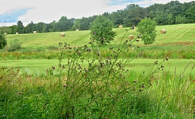img-3035-2.jpg