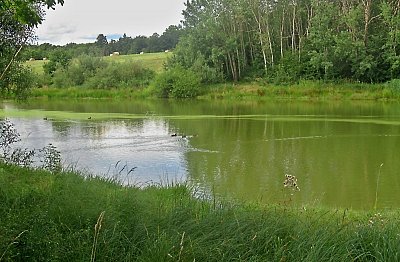 img-3049-3.jpg