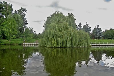 img-3162-1.jpg